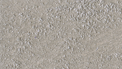 Marcopolo Sable'